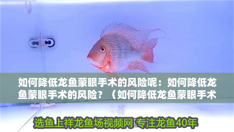 如何降低龍魚蒙眼手術的風險呢：如何降低龍魚蒙眼手術的風險？（如何降低龍魚蒙眼手術的風險）