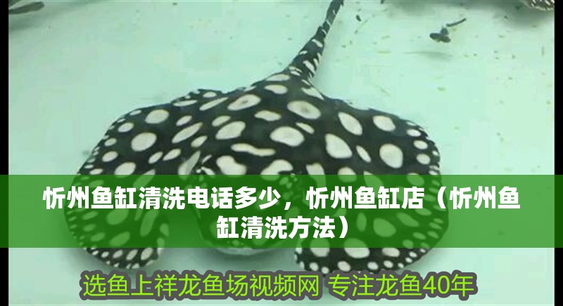 忻州魚缸清洗電話多少，忻州魚缸店（忻州魚缸清洗方法） 忻州魚缸清洗電話多少，忻州魚缸店（忻州魚缸清洗方法） 觀賞魚百科