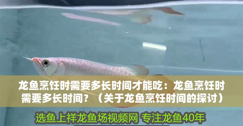 龍魚烹飪時需要多長時間才能吃：龍魚烹飪時需要多長時間？（關于龍魚烹飪時間的探討）
