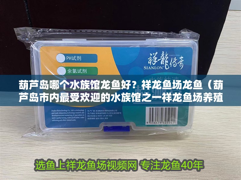 葫蘆島哪個水族館龍魚好？祥龍魚場龍魚（葫蘆島市內最受歡迎的水族館之一祥龍魚場養殖技術） 葫蘆島哪個水族館龍魚好？祥龍魚場龍魚（葫蘆島市內最受歡迎的水族館之一祥龍魚場養殖技術） 龍魚百科