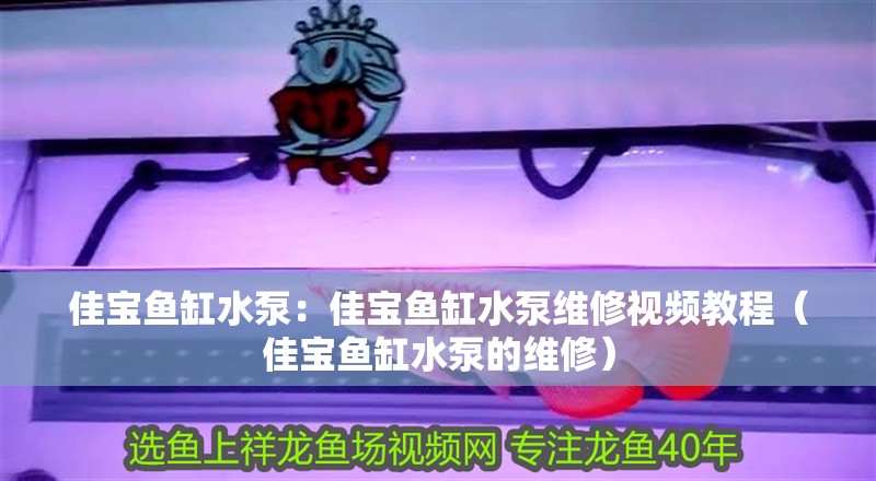 佳寶魚缸水泵：佳寶魚缸水泵維修視頻教程（佳寶魚缸水泵的維修） 佳寶魚缸水泵：佳寶魚缸水泵維修視頻教程（佳寶魚缸水泵的維修） 觀賞魚百科