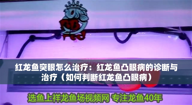 紅龍魚突眼怎么治療：紅龍魚凸眼病的診斷與治療（如何判斷紅龍魚凸眼病）