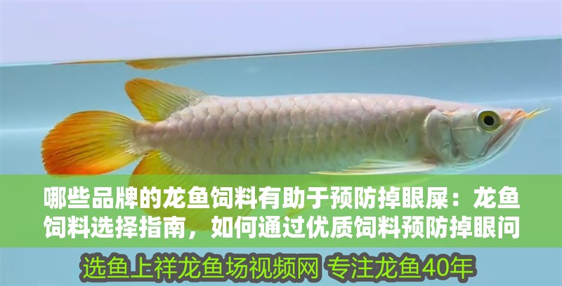 哪些品牌的龍魚飼料有助于預(yù)防掉眼屎：龍魚飼料選擇指南，如何通過優(yōu)質(zhì)飼料預(yù)防掉眼問題（如何選擇龍魚飼料）