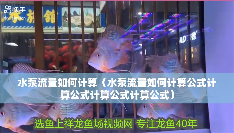 水泵流量如何計算（水泵流量如何計算公式計算公式計算公式計算公式）