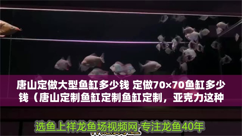 唐山定做大型魚缸多少錢 定做70×70魚缸多少錢（唐山定制魚缸定制魚缸定制，亞克力這種材料其實(shí)不推薦）