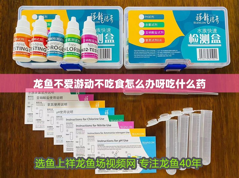 龍魚(yú)不愛(ài)游動(dòng)不吃食怎么辦呀吃什么藥