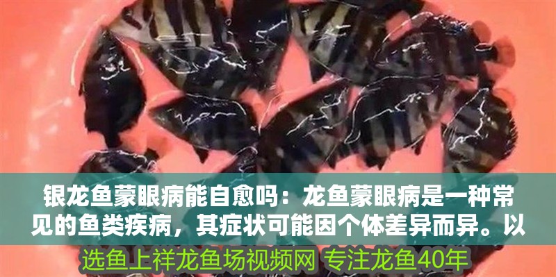 銀龍魚蒙眼病能自愈嗎：龍魚蒙眼病是一種常見的魚類疾病，其癥狀可能因個體差異而異。以下是銀龍魚蒙眼病的一些常見癥狀（銀龍魚蒙眼病的常見癥狀） 銀龍魚蒙眼病能自愈嗎：龍魚蒙眼病是一種常見的魚類疾病，其癥狀可能因個體差異而異。以下是銀龍魚蒙眼病的一些常見癥狀（銀龍魚蒙眼病的常見癥狀） 水族問答