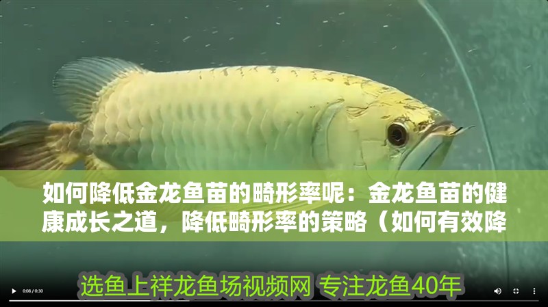 如何降低金龍魚苗的畸形率呢：金龍魚苗的健康成長之道，降低畸形率的策略（如何有效降低金龍魚苗的畸形率）