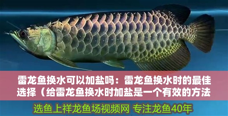 雷龍魚換水可以加鹽嗎：雷龍魚換水時的最佳選擇（給雷龍魚換水時加鹽是一個有效的方法，雷龍魚換水時應(yīng)注意什么） 雷龍魚換水可以加鹽嗎：雷龍魚換水時的最佳選擇（給雷龍魚換水時加鹽是一個有效的方法，雷龍魚換水時應(yīng)注意什么） 水族問答
