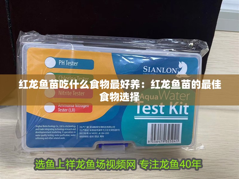 紅龍魚苗吃什么食物最好養：紅龍魚苗的最佳食物選擇