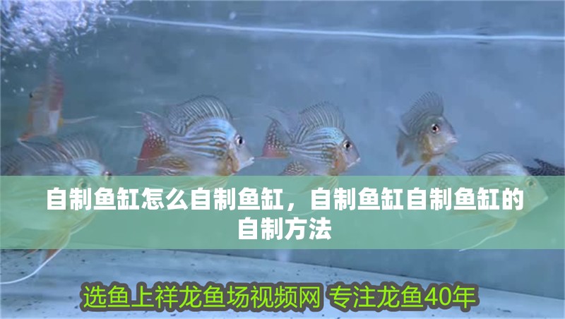 自制魚缸怎么自制魚缸，自制魚缸自制魚缸的自制方法 自制魚缸怎么自制魚缸，自制魚缸自制魚缸的自制方法 觀賞魚百科