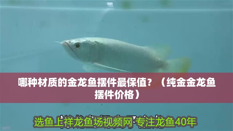 哪種材質的金龍魚擺件最保值？（純金金龍魚擺件價格）