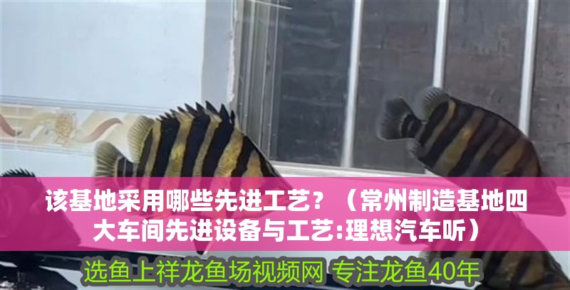 虎魚(yú)天天黑來(lái)點(diǎn)赤瞳黃金 該基地采用哪些先進(jìn)工藝?(常州制造基地四大車(chē)間先進(jìn)設(shè)備與工藝:理想汽車(chē)聽(tīng)) 龍魚(yú)百科 該基地采用哪些先進(jìn)工藝?(常州制造基地四大車(chē)間先進(jìn)設(shè)備與工藝:理想汽車(chē)聽(tīng)) 該基地采用哪些先進(jìn)工藝?(常州制造基地四大車(chē)間先進(jìn)設(shè)備與工藝:理想汽車(chē)聽(tīng)) 龍魚(yú)百科