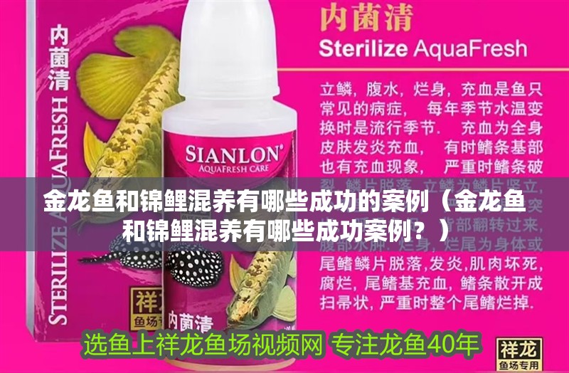 金龍魚和錦鯉混養有哪些成功的案例（金龍魚和錦鯉混養有哪些成功案例？）
