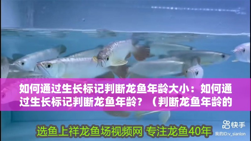 如何通過生長標記判斷龍魚年齡大小：如何通過生長標記判斷龍魚年齡？（判斷龍魚年齡的重要標志，龍魚年齡的重要指標是什么）