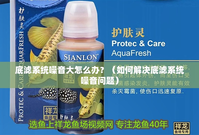 底濾系統噪音大怎么辦？（如何解決底濾系統噪音問題）