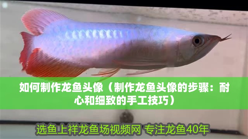 如何制作龍魚頭像（制作龍魚頭像的步驟：耐心和細致的手工技巧） 如何制作龍魚頭像（制作龍魚頭像的步驟：耐心和細致的手工技巧） 龍魚百科