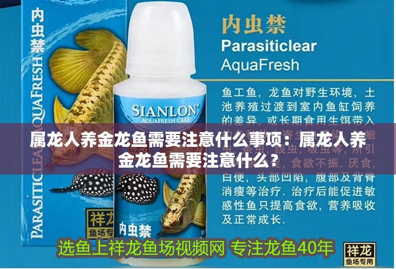 屬龍人養金龍魚需要注意什么事項：屬龍人養金龍魚需要注意什么？