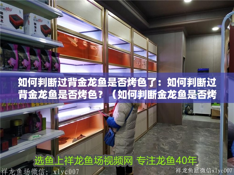 如何判斷過背金龍魚是否烤色了：如何判斷過背金龍魚是否烤色？（如何判斷金龍魚是否烤色）