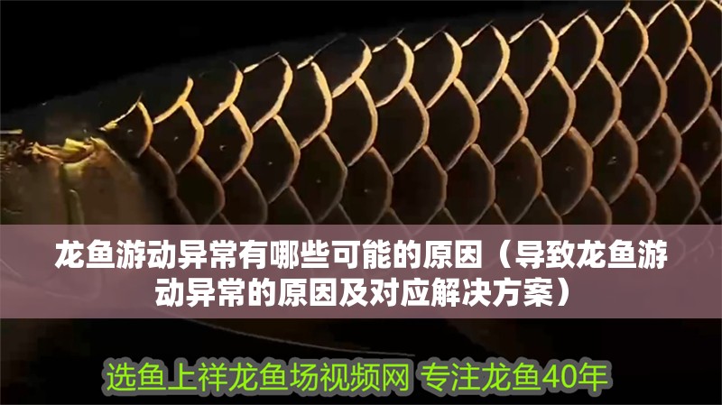 龍魚游動異常有哪些可能的原因（導致龍魚游動異常的原因及對應解決方案）