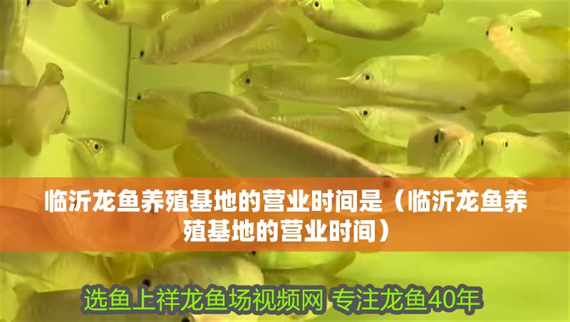 臨沂龍魚養殖基地的營業時間是（臨沂龍魚養殖基地的營業時間）