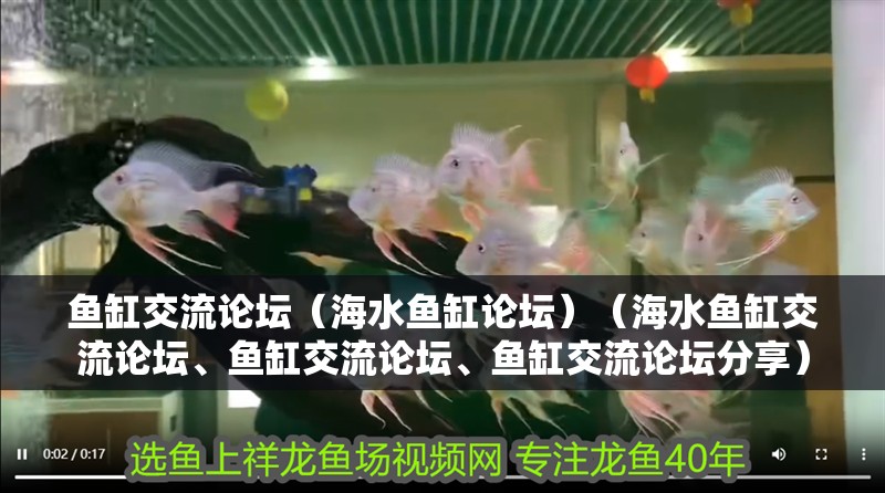 魚缸交流論壇（海水魚缸論壇）（海水魚缸交流論壇、魚缸交流論壇、魚缸交流論壇分享）
