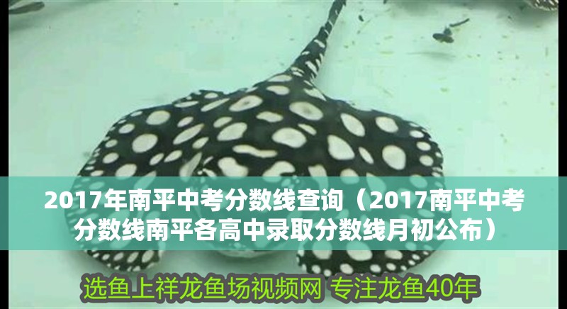 2017年南平中考分?jǐn)?shù)線查詢（2017南平中考分?jǐn)?shù)線南平各高中錄取分?jǐn)?shù)線月初公布） 2017年南平中考分?jǐn)?shù)線查詢（2017南平中考分?jǐn)?shù)線南平各高中錄取分?jǐn)?shù)線月初公布） 觀賞魚百科