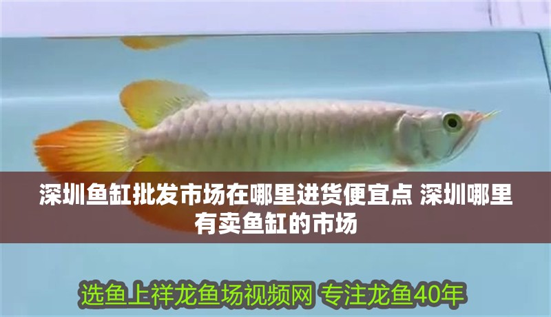 <strong><mark>深圳</mark></strong>魚缸批發市場在哪里進貨便宜點 <strong><mark>深圳</mark></strong>哪里有賣魚缸的市場