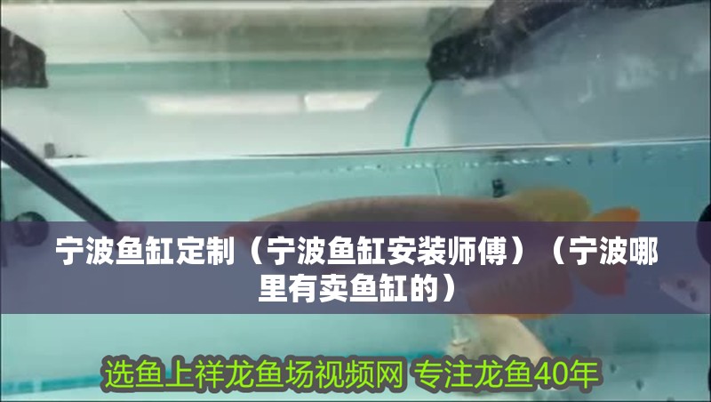 寧波魚缸定制（寧波魚缸安裝師傅）（寧波哪里有賣魚缸的）