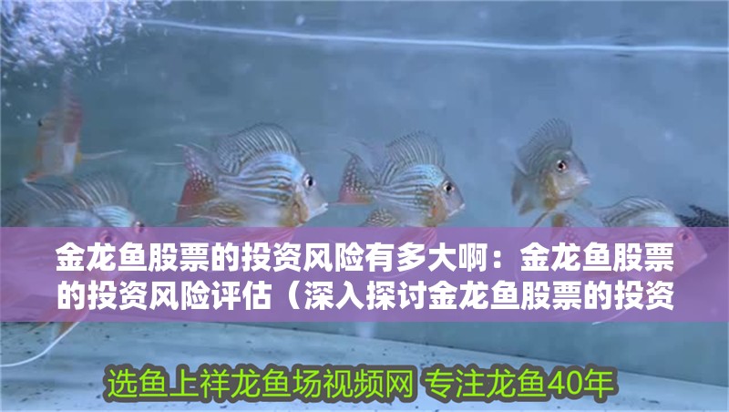 金龍魚股票的投資風(fēng)險有多大啊：金龍魚股票的投資風(fēng)險評估（深入探討金龍魚股票的投資風(fēng)險）