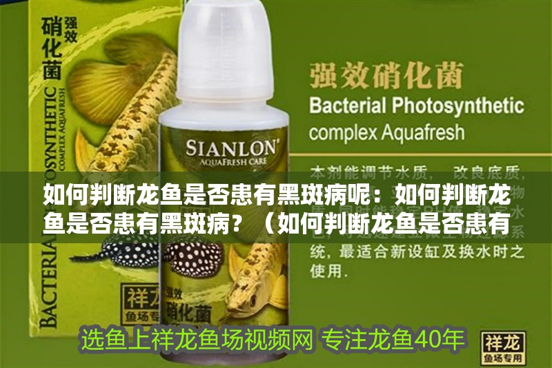 如何判斷龍魚是否患有黑斑病呢：如何判斷龍魚是否患有黑斑病？（如何判斷龍魚是否患有黑斑病）