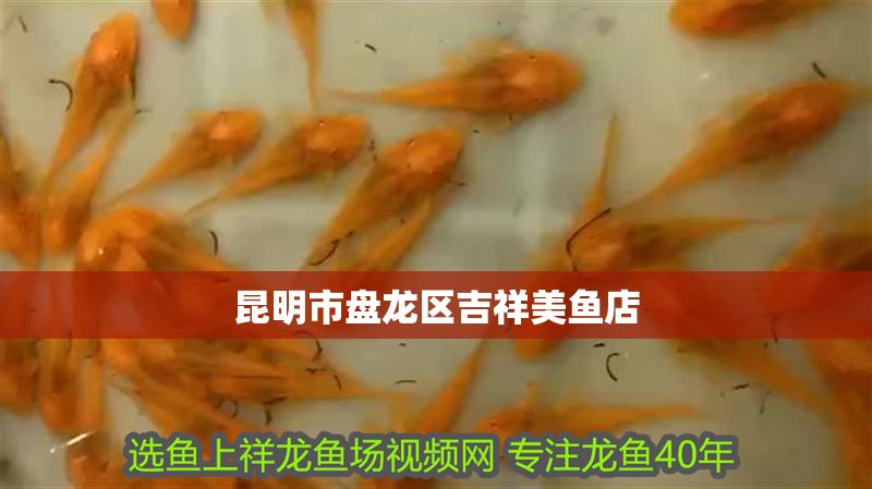 昆明市盤龍區(qū)吉祥美魚店 全國水族館企業(yè)名錄 第1張 昆明市盤龍區(qū)吉祥美魚店 昆明市盤龍區(qū)吉祥美魚店 全國水族館企業(yè)名錄 第1張