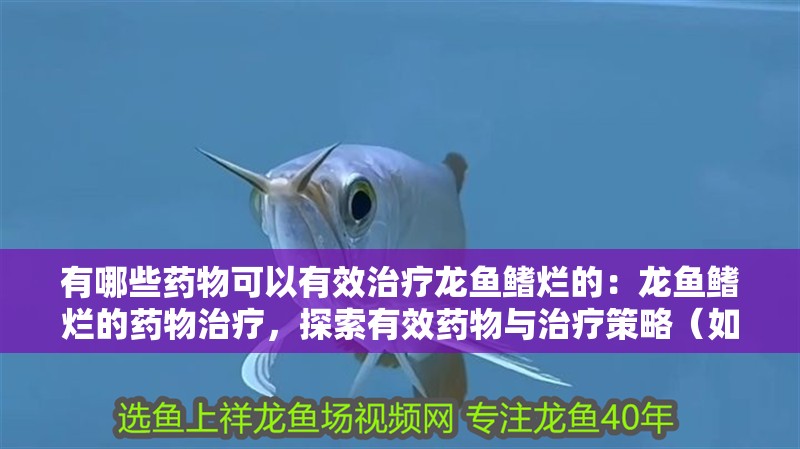 有哪些藥物可以有效治療龍魚鰭爛的：龍魚鰭爛的藥物治療，探索有效藥物與治療策略（如何治療龍魚鰭爛）
