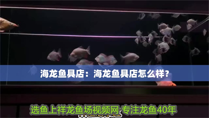 海龍魚具店：海龍魚具店怎么樣？