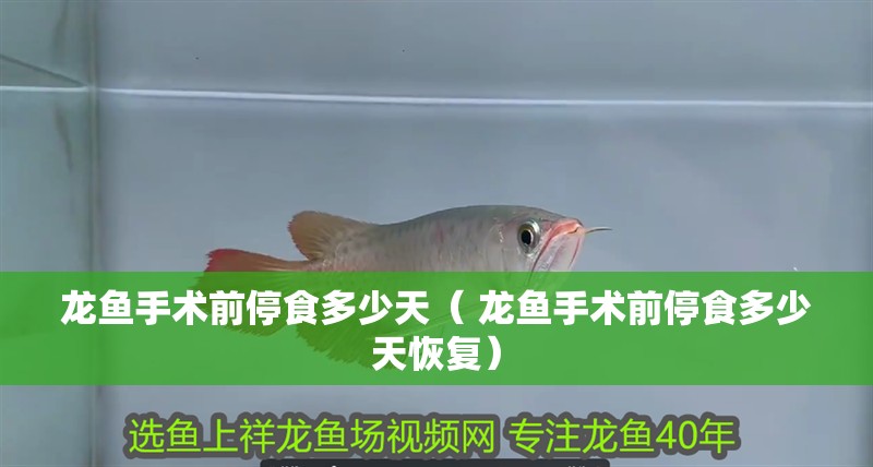 魚缸用增氧泵價格是多少:魚缸增氧機-xtrac增氧機-xtrac增氧機 龍魚手術前停食多少天( 龍魚手術前停食多少天恢復) 觀賞魚百科 龍魚手術前停食多少天( 龍魚手術前停食多少天恢復) 龍魚手術前停食多少天( 龍魚手術前停食多少天恢復) 觀賞魚百科