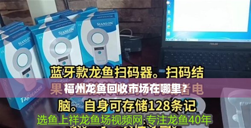 福州龍魚回收市場在哪里？