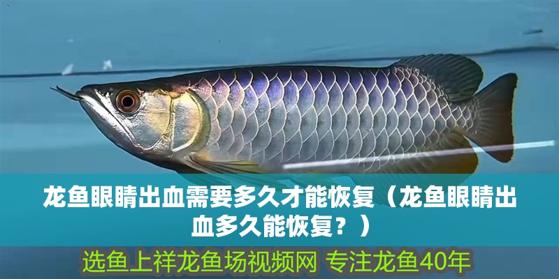 紅龍魚(yú)怎么賣(mài)（紅龍魚(yú)怎么賣(mài)的）