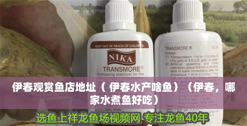 伊春觀賞魚店地址（ 伊春水產啥魚）（伊春，哪家水煮魚好吃） 伊春觀賞魚店地址（ 伊春水產啥魚）（伊春，哪家水煮魚好吃） 觀賞魚百科