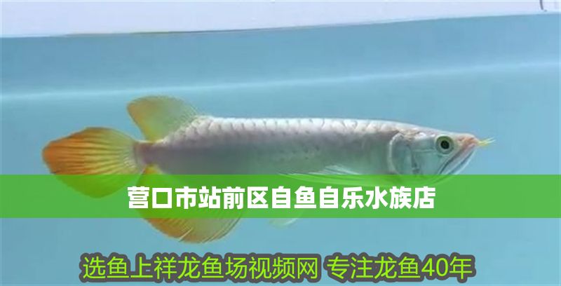 營口市站前區自魚自樂水族店