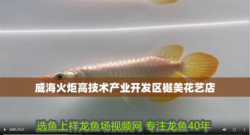 威海火炬高技術產業開發區樾美花藝店