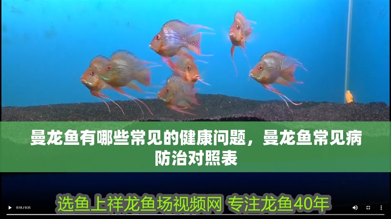 曼龍魚有哪些常見的健康問題，曼龍魚常見病防治對照表 曼龍魚有哪些常見的健康問題，曼龍魚常見病防治對照表 龍魚百科