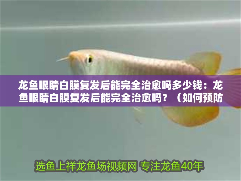 龍魚眼睛白膜復(fù)發(fā)后能完全治愈嗎多少錢：龍魚眼睛白膜復(fù)發(fā)后能完全治愈嗎？（如何預(yù)防龍魚眼睛白膜復(fù)發(fā)）