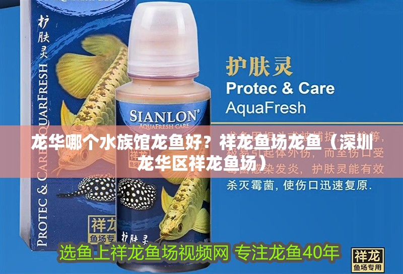 龍華哪個水族館龍魚好？祥龍魚場龍魚（深圳龍華區祥龍魚場） 龍華哪個水族館龍魚好？祥龍魚場龍魚（深圳龍華區祥龍魚場） 龍魚百科