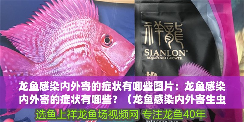 龍魚感染內外寄的癥狀有哪些圖片：龍魚感染內外寄的癥狀有哪些？（龍魚感染內外寄生蟲在龍魚感染內外寄的癥狀通常表現）