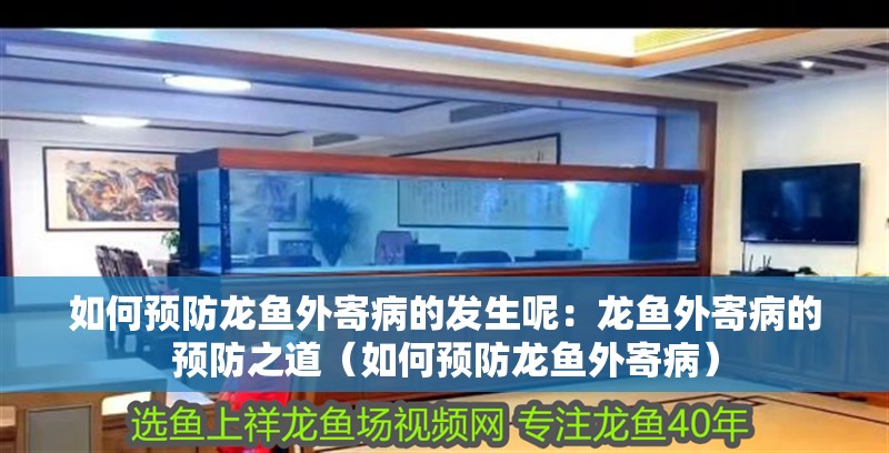 如何預防龍魚外寄病的發生呢：龍魚外寄病的預防之道（如何預防龍魚外寄病）