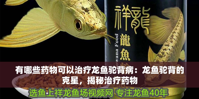 有哪些藥物可以治療龍魚駝背病：龍魚駝背的克星，揭秘治療藥物