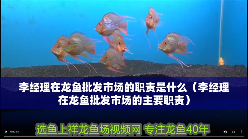 李經(jīng)理在龍魚批發(fā)市場(chǎng)的職責(zé)是什么（李經(jīng)理在龍魚批發(fā)市場(chǎng)的主要職責(zé)）
