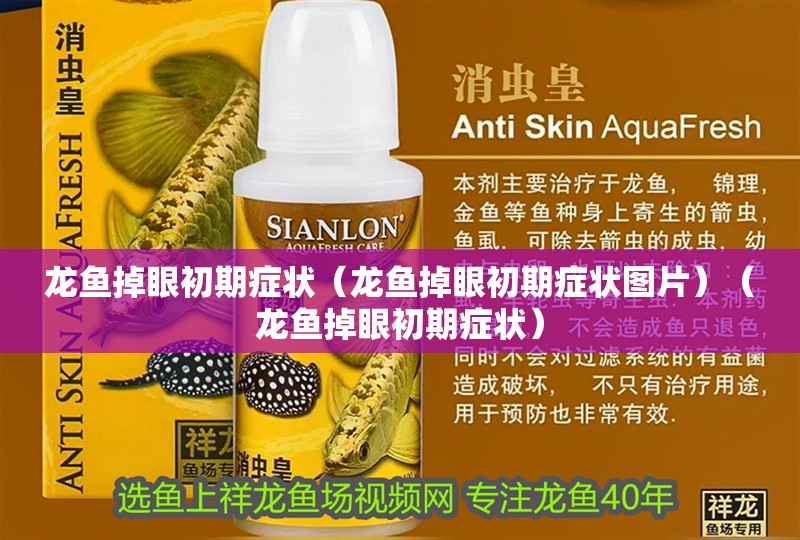 龍魚掉眼初期癥狀（龍魚掉眼初期癥狀圖片）（龍魚掉眼初期癥狀）