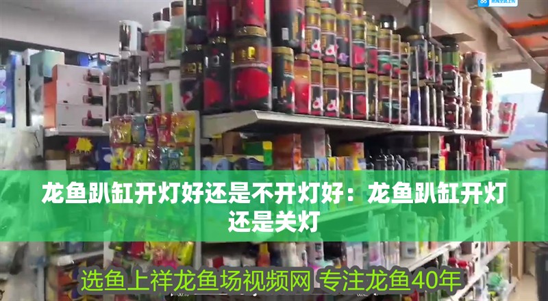 龍魚趴缸開燈好還是不開燈好：龍魚趴缸開燈還是關燈