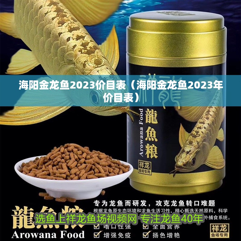 海陽金龍魚2023價目表（海陽金龍魚2023年價目表）